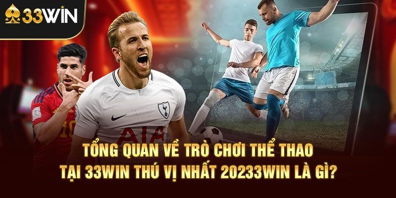 Cá Cược Thể Thao - Hòa Mình Vào Không Khí Cuồng Nhiệt Trên 33WIN Top những bộ môn đáng trải nghiệm khi cá cược thể thao