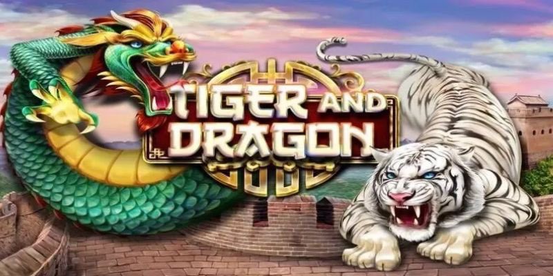 Rồng Hổ Online - Tựa Game Giải Trí Đình Đám Đáng Trải Nghiệm Tổng hợp các bí quyết cần nắm khi chơi Rồng Hổ Online