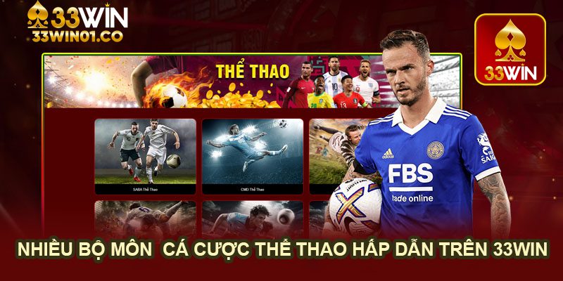33WIN Đa dạng kèo cược và bộ môn thể thao hấp dẫn