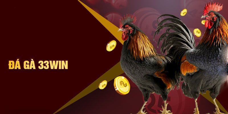 Đá Gà Trực Tuyến 33WIN – Sân Chơi Sôi Động Đầy Kịch Tính Tổng quan sảnh cược đá gà online 33win